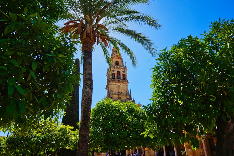 Córdoba
