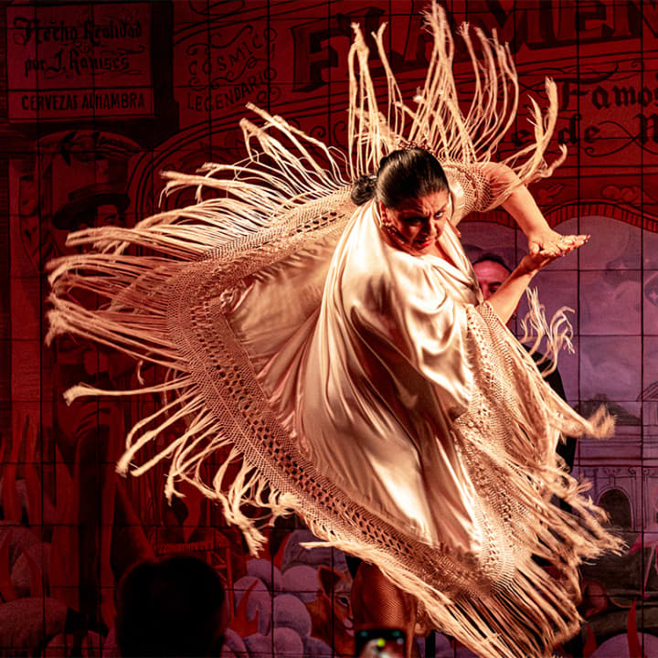 Experiencia Flamenca en la Puerta de Alcalá