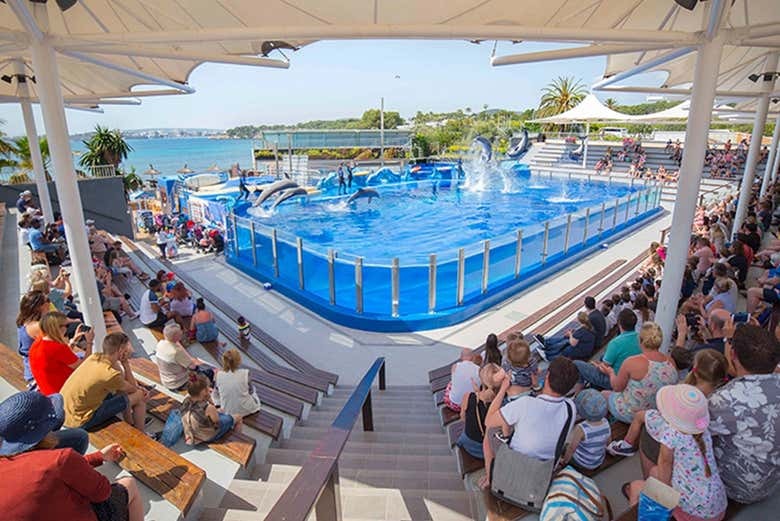 Entrada a Marineland Mallorca