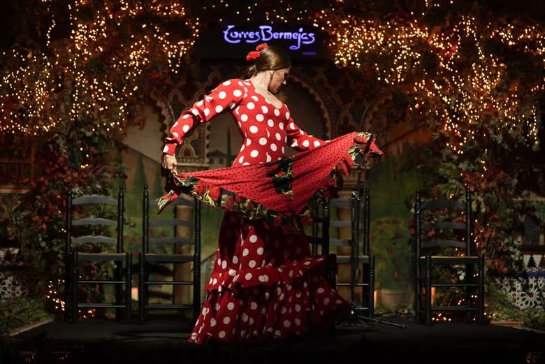 Espectáculo flamenco en Torres Bermejas