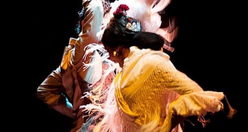 Museo del Baile Flamenco: Entrada + Puro Espectáculo Flamenco - Entradas Sevilla