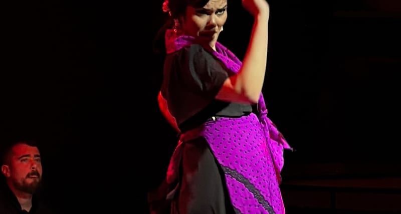 Flamenco & Events Barcelona - Entradas Barcelona