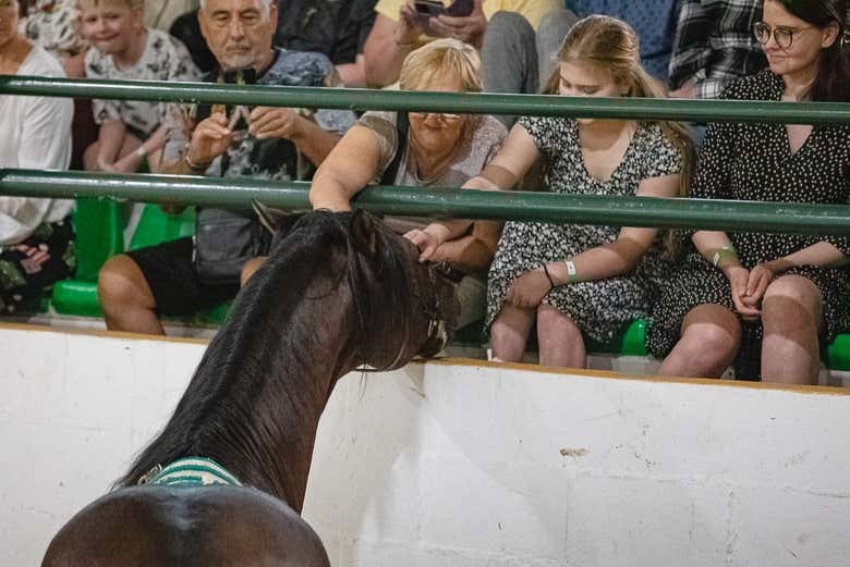 Espectáculo ecuestre en El Ranchito - Entradas Granada