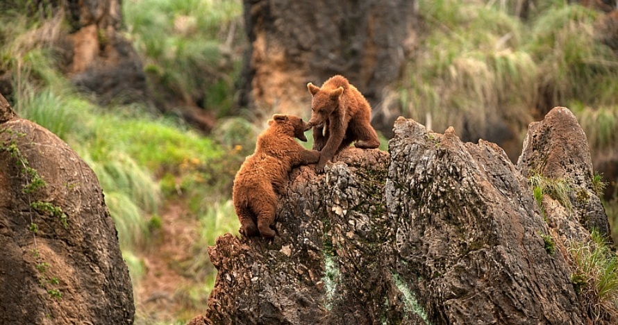 Entrada al Parque de la Naturaleza de Cabárceno - Entradas Burgos