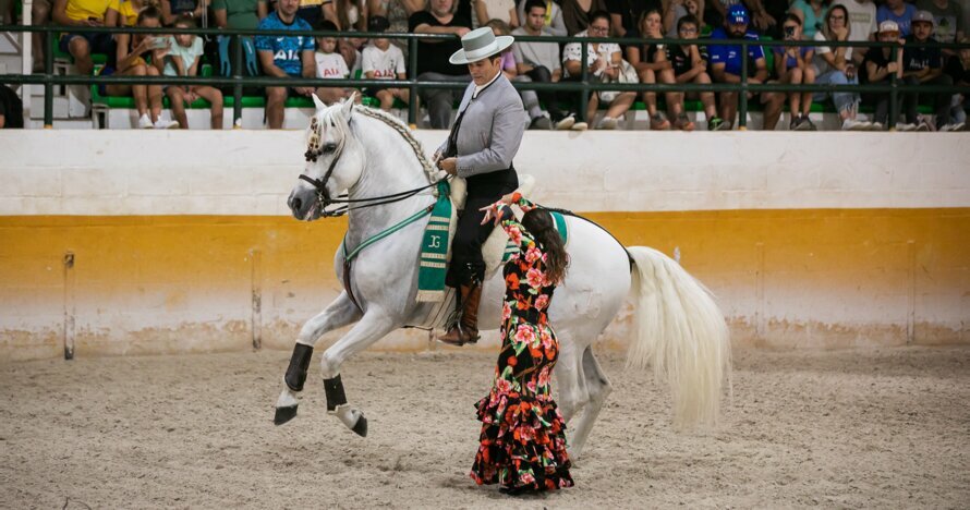 Espectáculo ecuestre y flamenco en Málaga - Entradas Málaga