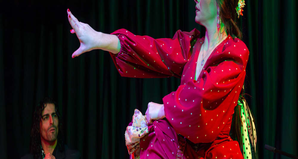 Tablao Flamenco La Alboreá: Espectáculo de Flamenco en Granada - Entradas Granada