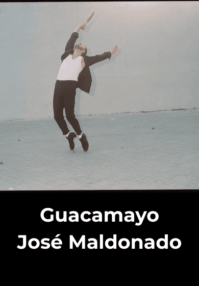 Guacamayo - Entradas Madrid